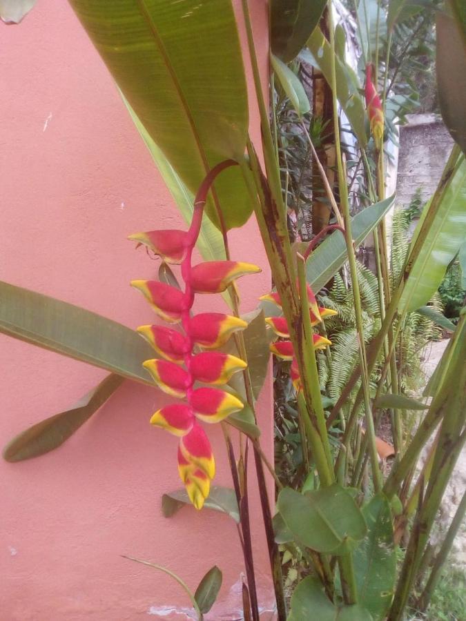 Pousada Portal Das Flores Paraty Eksteriør bilde